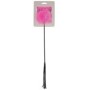 Pluma y  Látigo Rosa por sólo 5,39 €