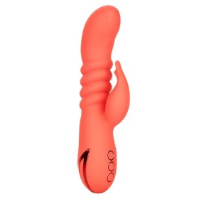 California Dreaming Orange County Cutie punto G