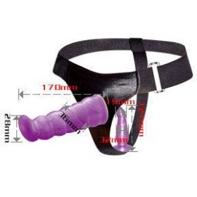 ARNES ANAL Y VAGINAL FEMENINO LILA PUNTO G 17CM por sólo 23,96 €