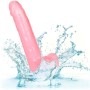 CALEX SIZE QUEEN DILDO - ROSA 20.3 CM por sólo 27,99 €