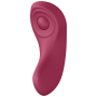 SATISFYER PARTNER BOX 3 por sólo 95,96 €