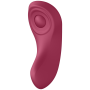 SATISFYER PARTNER BOX 1 por sólo 79,96 €