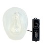 Crystal pussy, vagina super real con vibración y mando a distancia por sólo 35,96 €